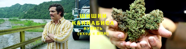 МДПВ Горно-Алтайск