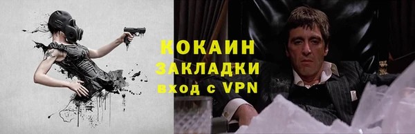 ПСИЛОЦИБИНОВЫЕ ГРИБЫ Горняк