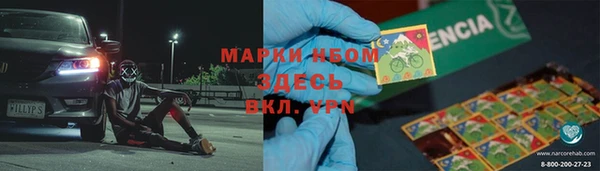 ПСИЛОЦИБИНОВЫЕ ГРИБЫ Горняк