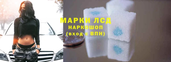 ПСИЛОЦИБИНОВЫЕ ГРИБЫ Горняк