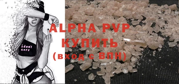 гашик Дмитриев