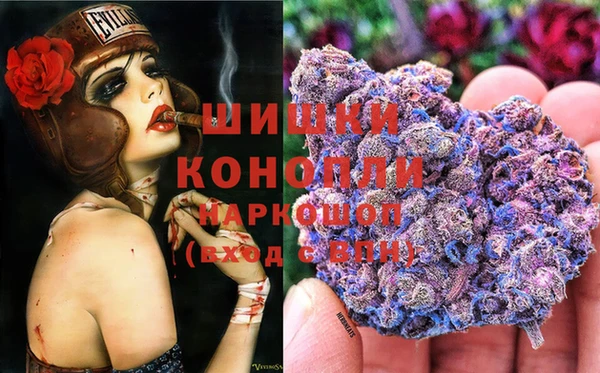 МДПВ Горно-Алтайск