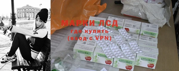 ПСИЛОЦИБИНОВЫЕ ГРИБЫ Горняк